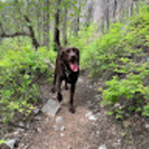 Meet your Posher, Talia